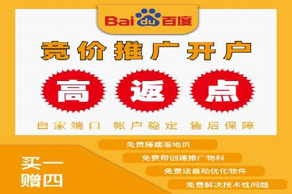 谷歌SEM广告投放的ROI优化：一家科技公司的成功经验